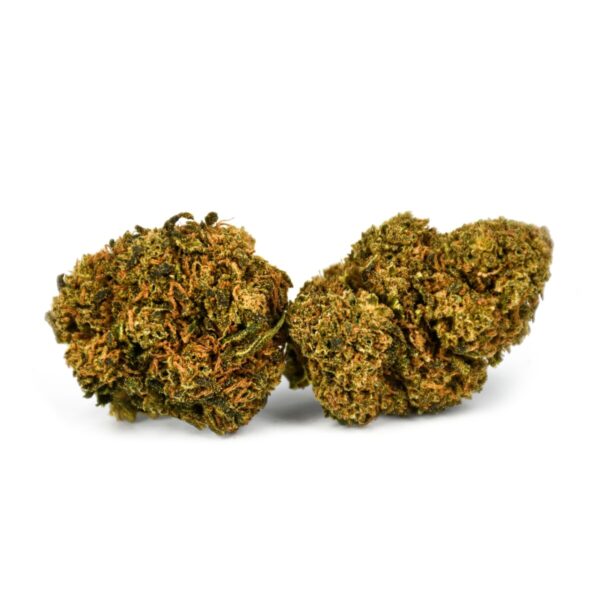 Critical Jack