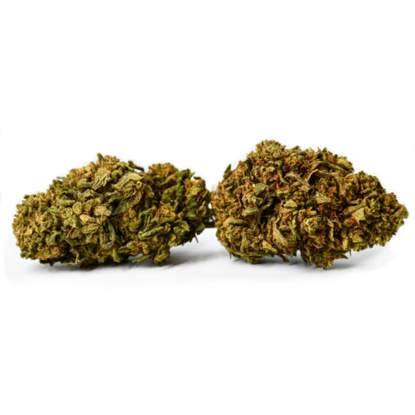 Gorilla Glue